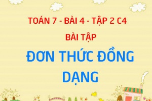 Bài tập đơn thức đồng dạng, cộng trừ đơn thức đồng dạng - Toán 7 bài 4 tập 2 chương 4